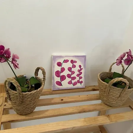 Centrico Con Encanto En Castello Castellón de la Plana